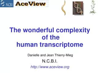 The wonderful complexity of the human transcriptome