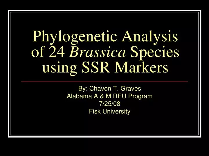 phylogenetic analysis of 24 brassica species using ssr markers