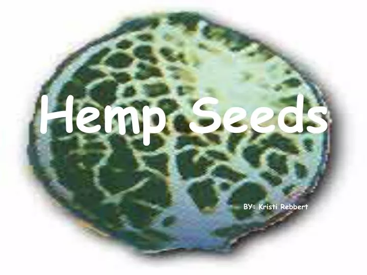 hemp seeds