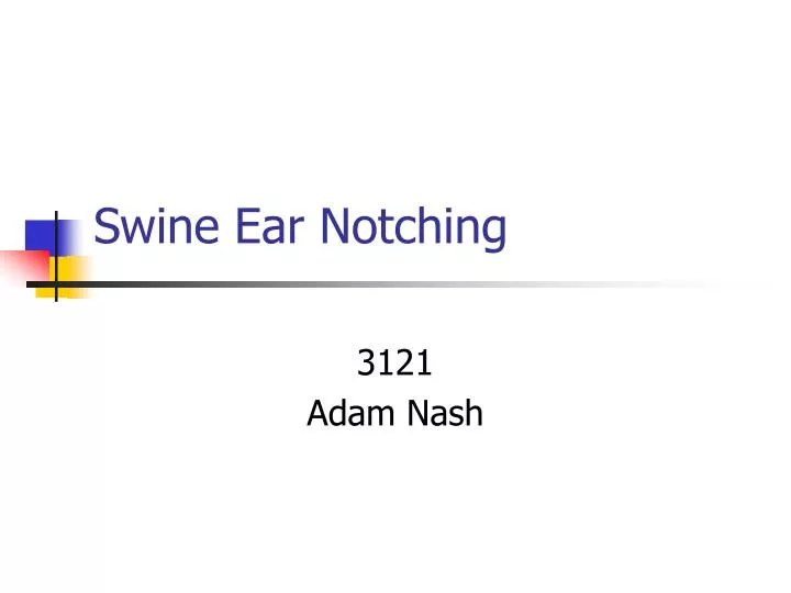swine ear notching
