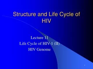 Structure and Life Cycle of HIV
