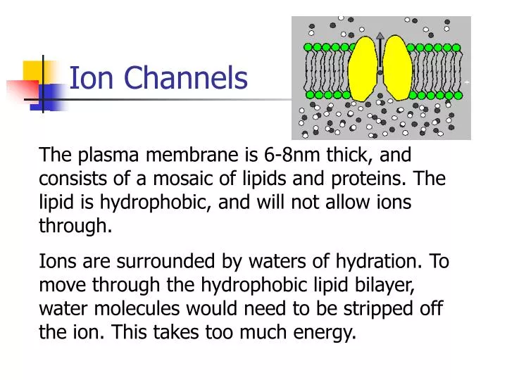 ion channels