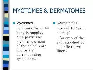 MYOTOMES &amp; DERMATOMES