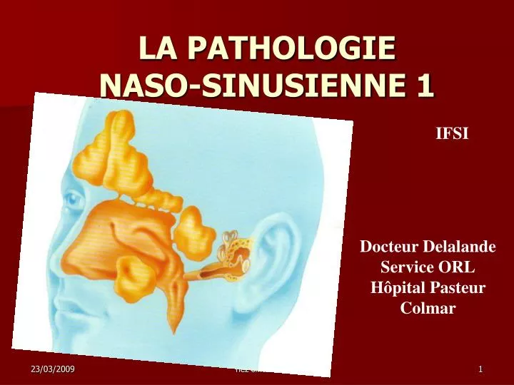 la pathologie naso sinusienne 1