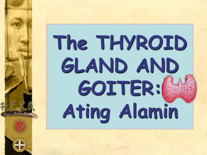 the thyroid gland and goiter ating alamin