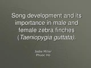 Song development and its importance in male and female zebra finches ( Taeniopygia guttata) .