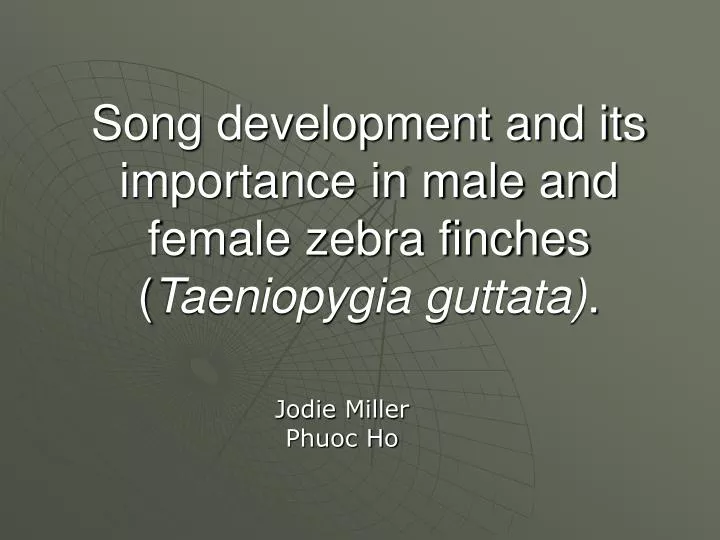 song development and its importance in male and female zebra finches taeniopygia guttata