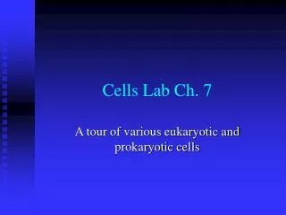 Cells Lab Ch. 7