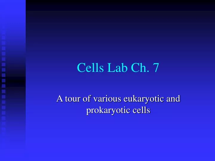 cells lab ch 7