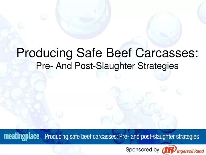 producing safe beef carcasses pre and post slaughter strategies
