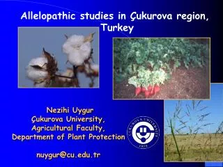 Allelopathic studies in Çukurova region, Turkey