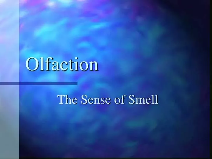 olfaction