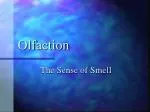 Olfaction - slide 1