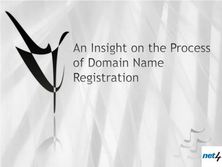an insight on the process of domain name registration
