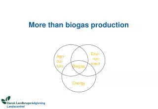 More than biogas production