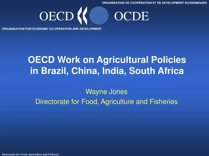 oecd work on agricultural policies in brazil china india south africa