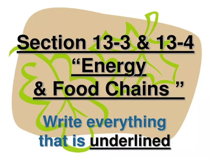 section 13 3 13 4 energy food chains