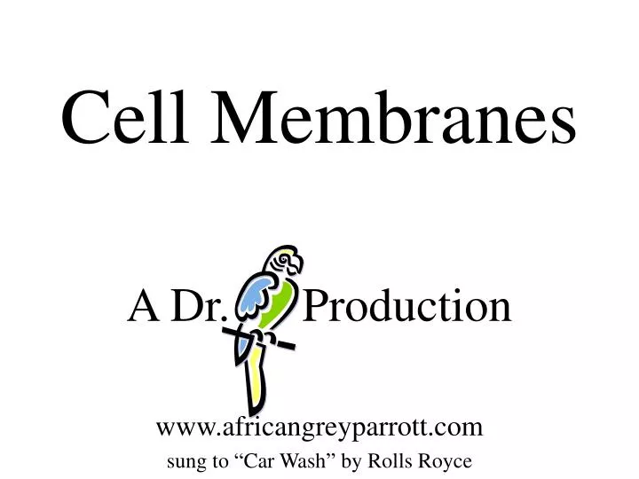 cell membranes