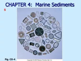 CHAPTER 4: Marine Sediments