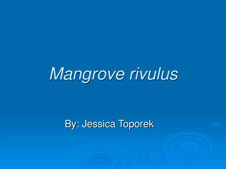 mangrove rivulus