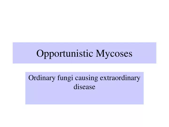 opportunistic mycoses