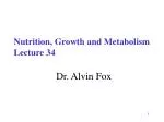 Dr. Alvin Fox - slide 1
