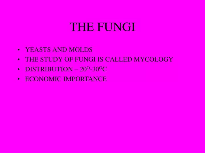 the fungi
