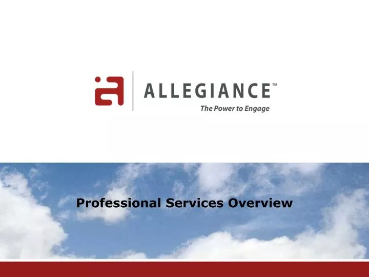 professional services overview