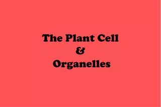 The Plant Cell &amp; Organelles