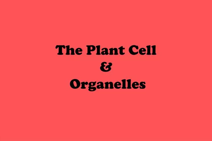 the plant cell organelles
