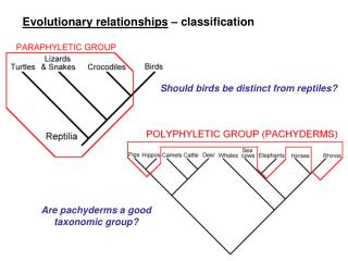 Evolutionary relationships – classification