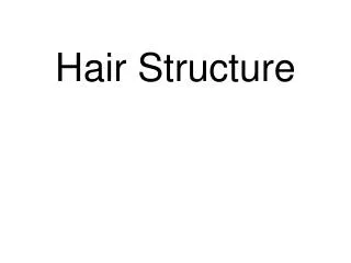 Hair Structure