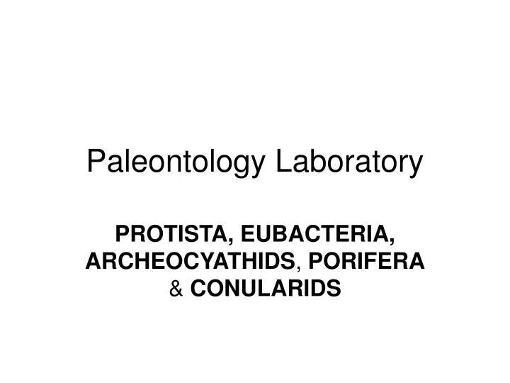 paleontology laboratory