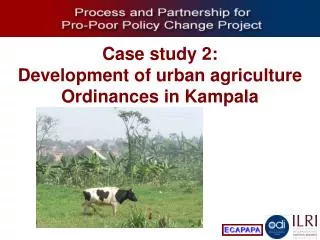 Case study 2: Development of urban agriculture Ordinances in Kampala