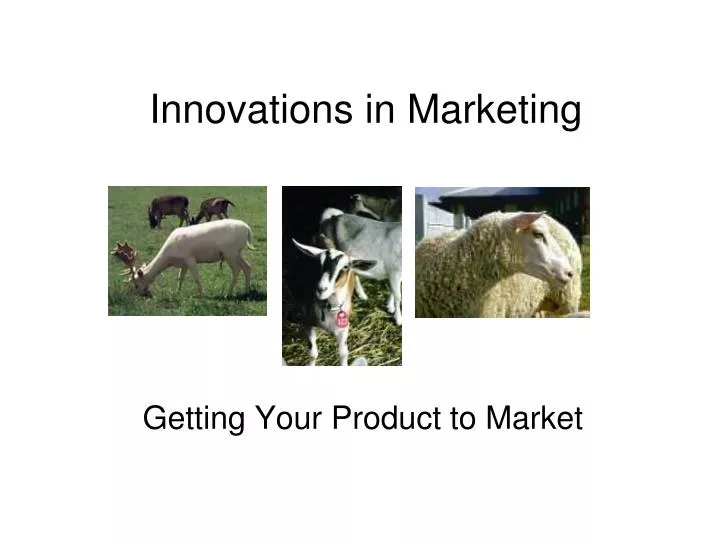 innovations in marketing