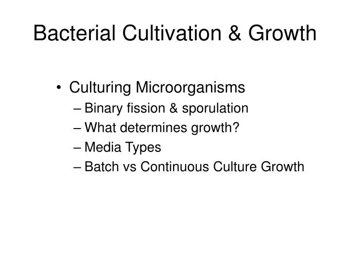 bacterial cultivation growth