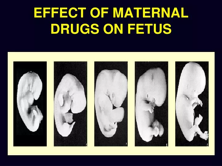 effect of maternal drugs on fetus