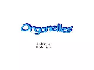 Organelles