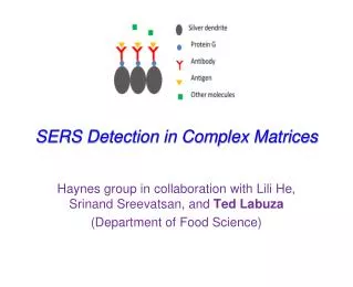 SERS Detection in Complex Matrices
