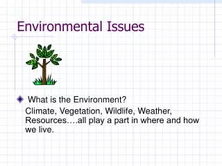 Environmental Issues