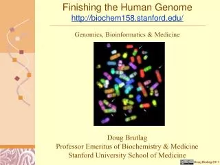 Finishing the Human Genome http://biochem158.stanford.edu/