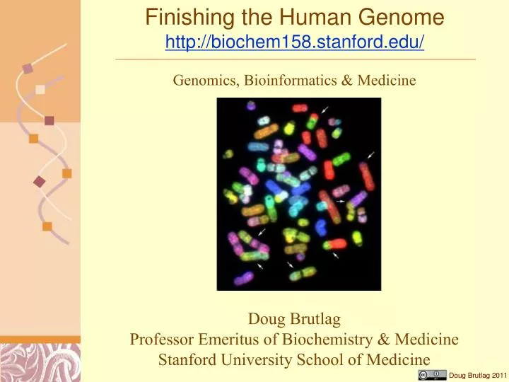 finishing the human genome http biochem158 stanford edu