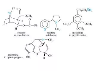 Catecholamines All synthesized from tyrosine (Amino Acid) Dopamine, epinephrine, norepinephrine A deficiency in dopamin