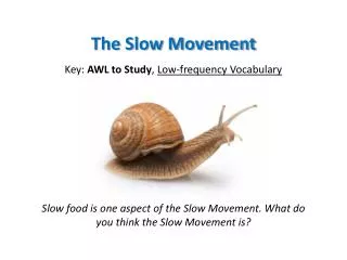 The Slow Movement