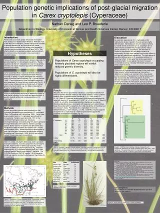 Population genetic implications of post-glacial migration in Carex cryptolepis (Cyperaceae)
