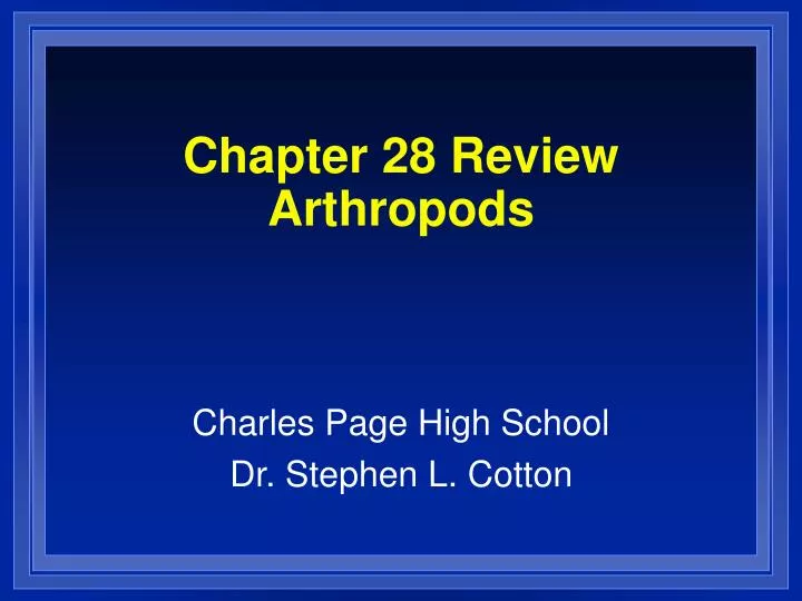 chapter 28 review arthropods