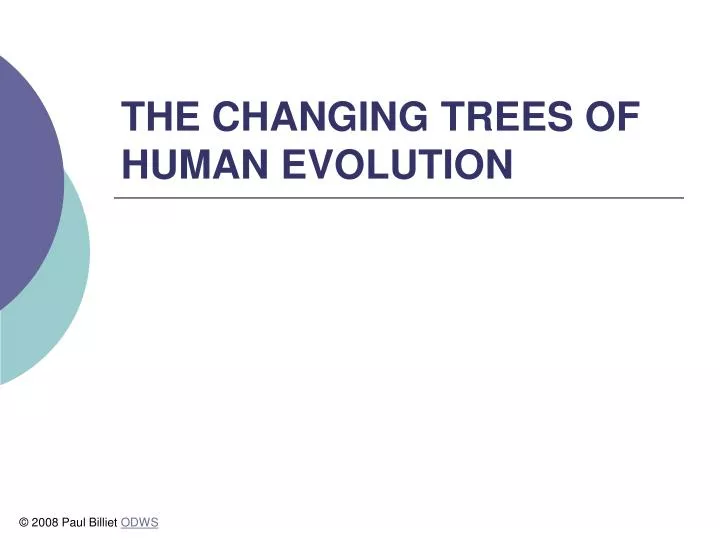 the changing trees of human evolution