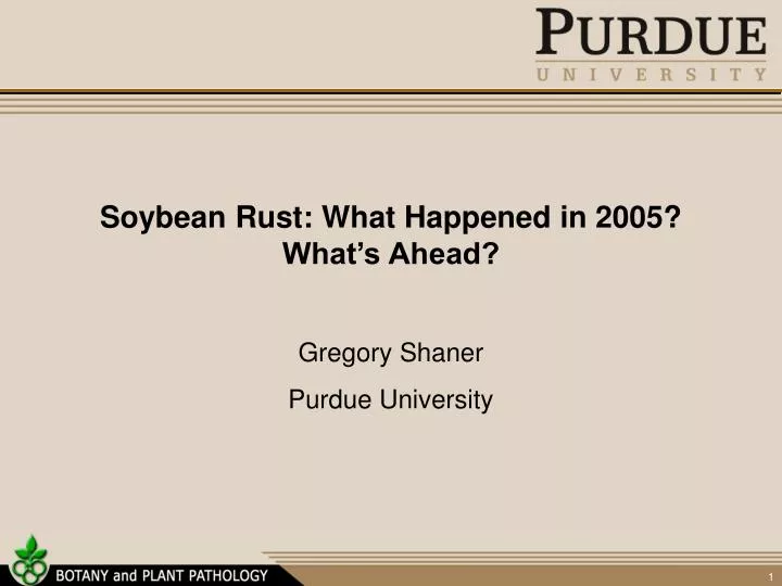 soybean rust what happened in 2005 what s ahead