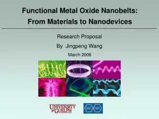 Functional Metal Oxide Nanobelts: From Materials to Nanodevices