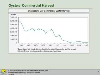 Oyster: Commercial Harvest